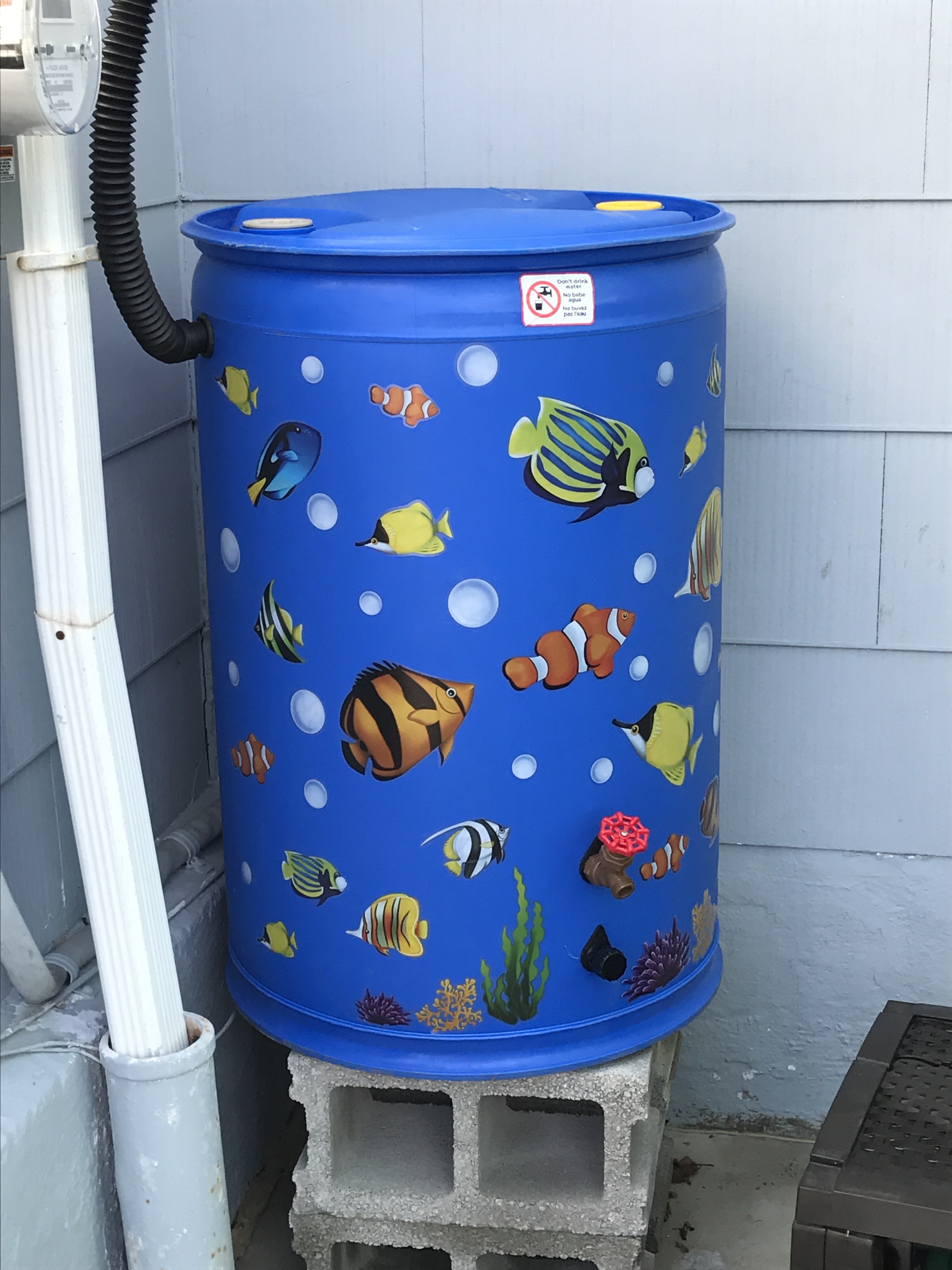 Get creative and decorate your rain barrel!